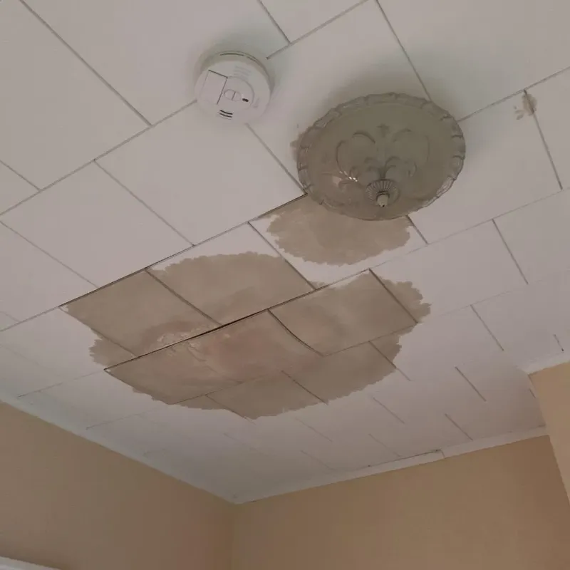 Ceiling Water Damage Repair in Portage, MI