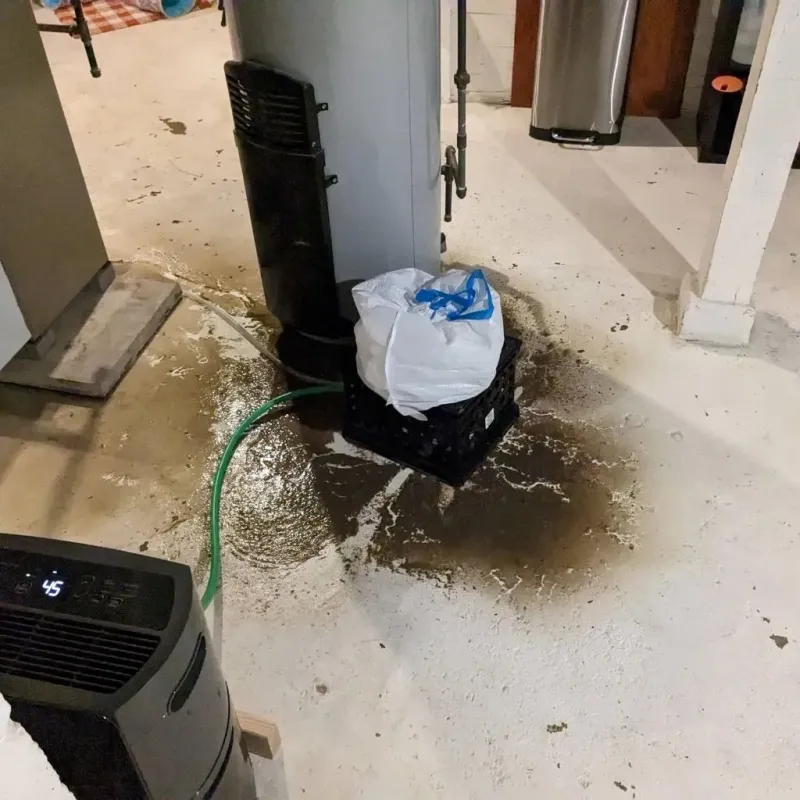 Sewage Backup Cleanup Service in Portage, MI
